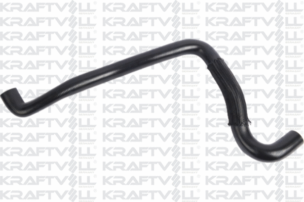 Radiator Hose (10031547)