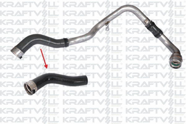 Charge Air Hose (10031833)