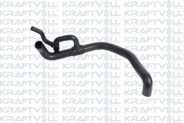 Radiator Hose (10032472)