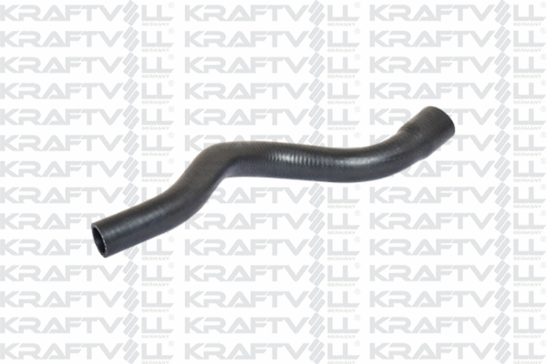 Radiator Hose (10031340)