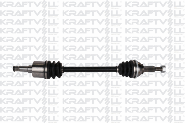 Drive Shaft (01010156)