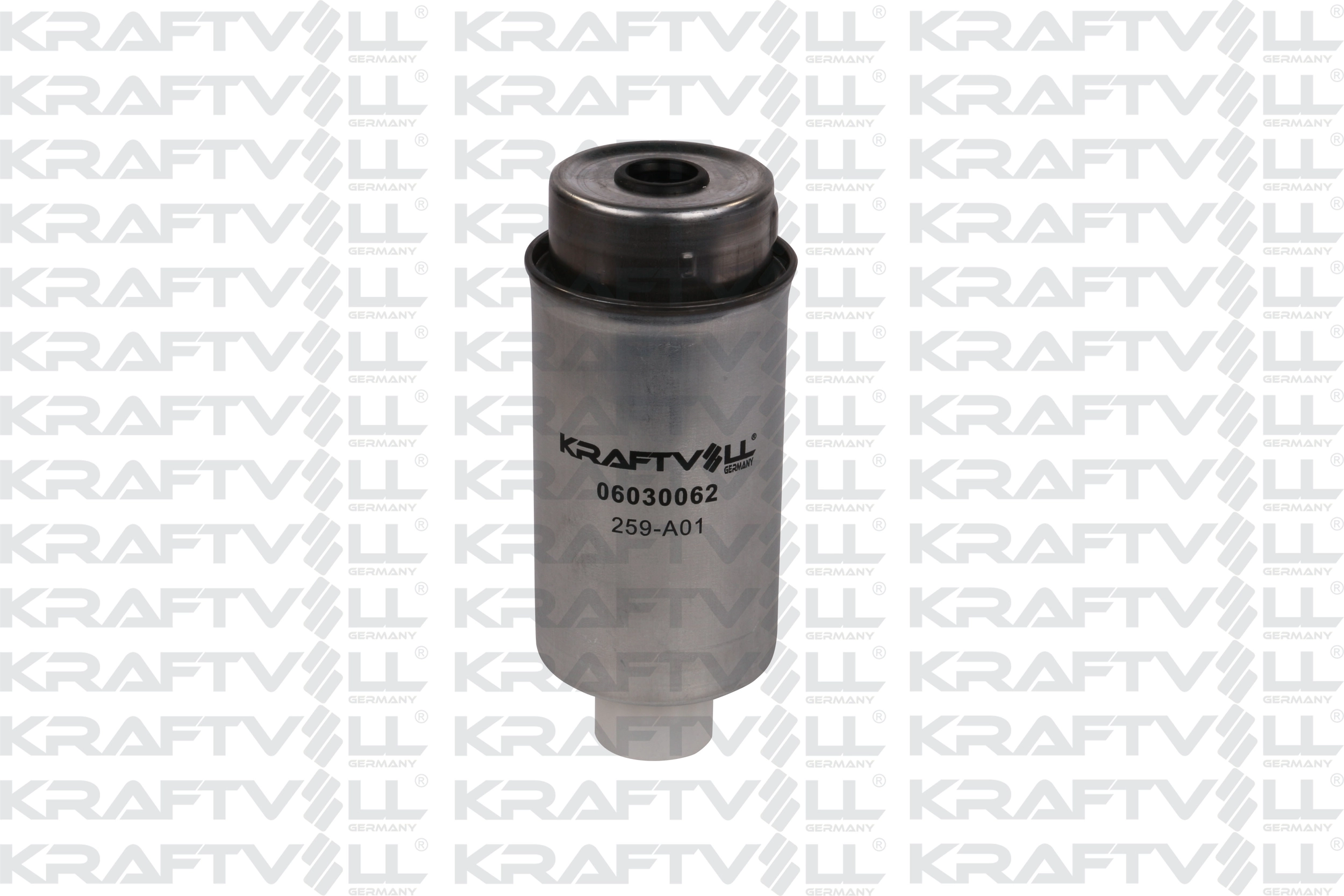 Fuel Filter (06030062)