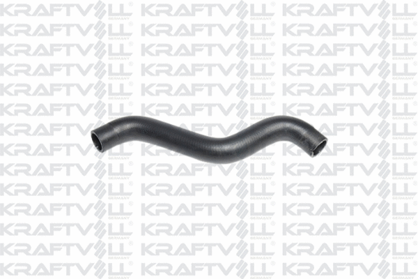 Radiator Hose (10032389)
