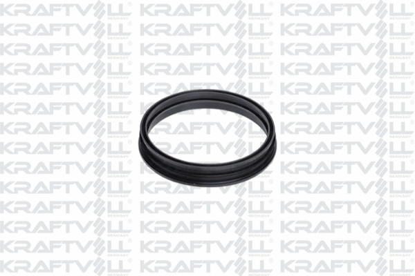 Seal, fuel tank cap (10031117)