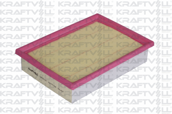 Air Filter (06010131)