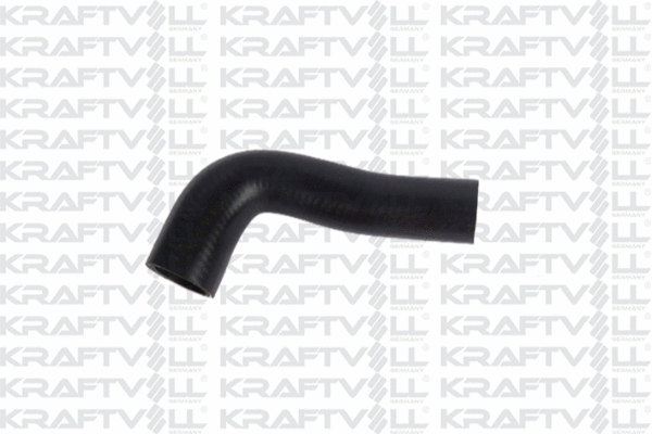 Radiator Hose (10030989)