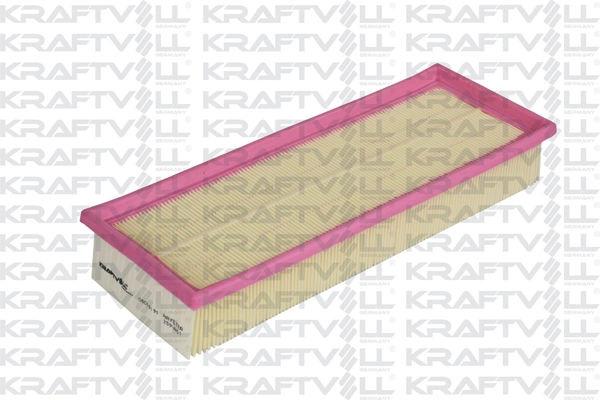 Air Filter (06010191)