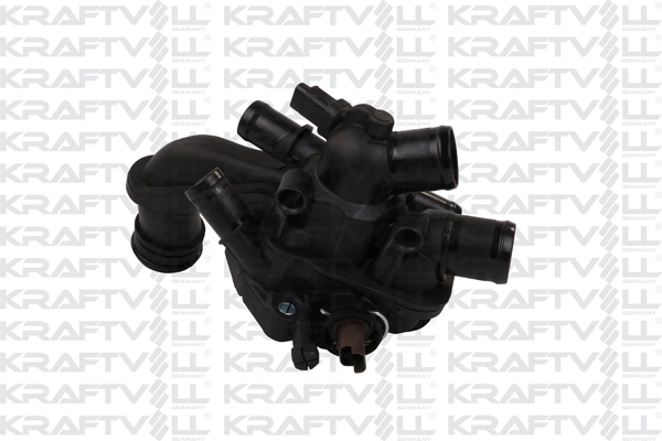 Thermostat, coolant (08100084)