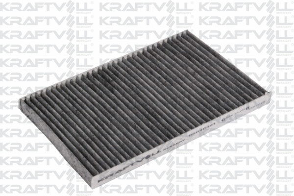 Filter, cabin air (06040301)