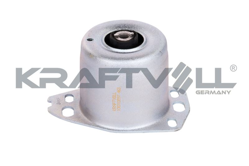Mounting, engine (10010897)