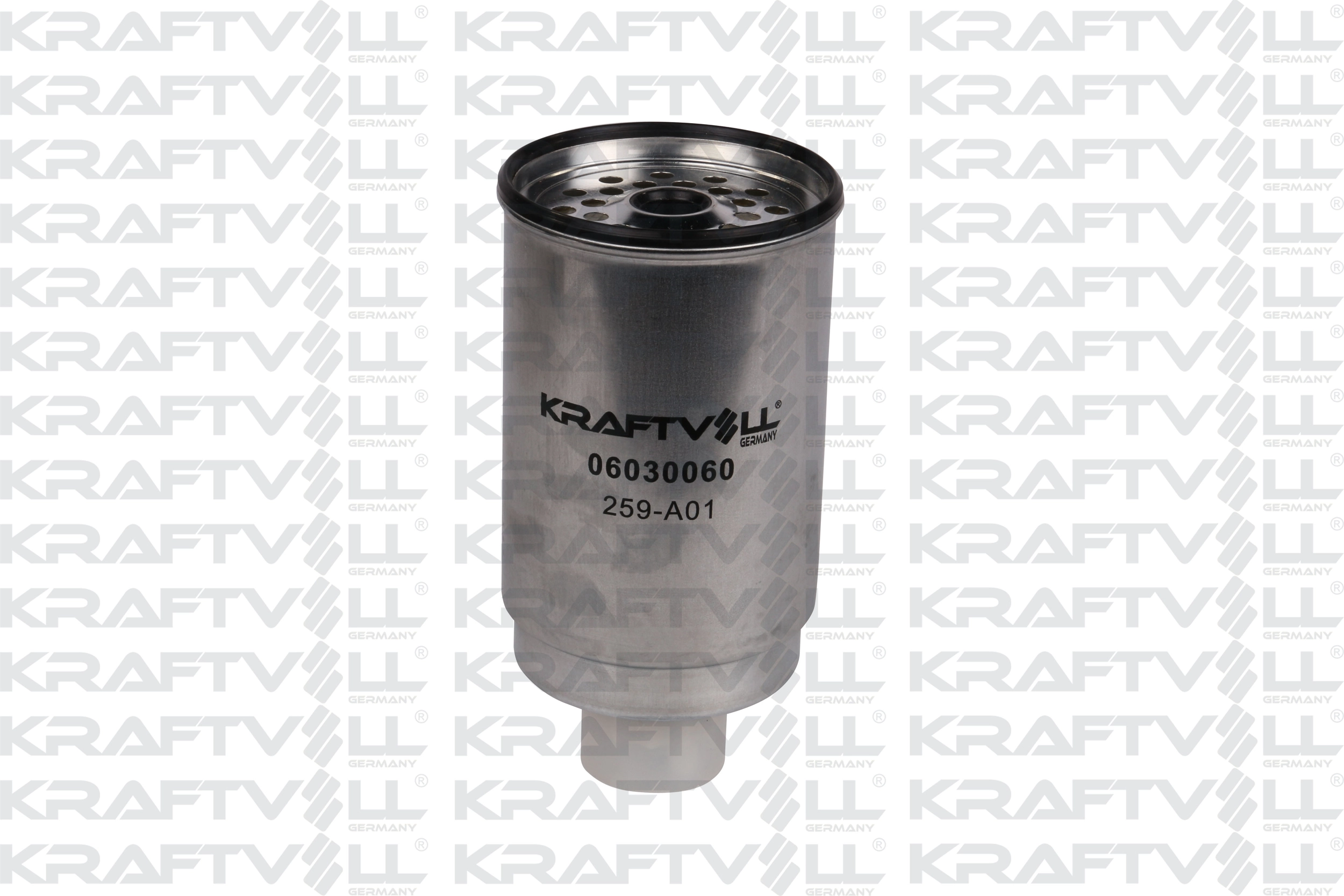 Fuel Filter (06030060)