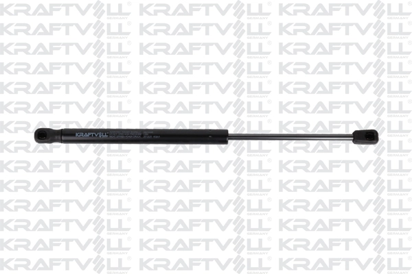 Gas Spring, boot/cargo area (09010496)
