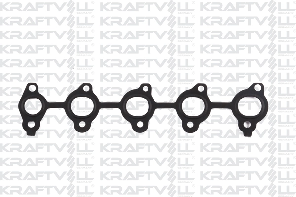 Gasket, exhaust manifold (12010185)