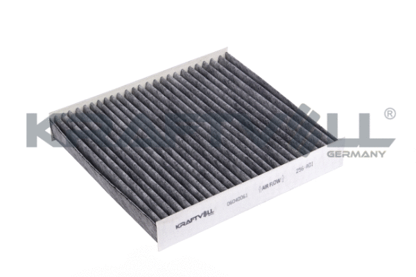 Filter, cabin air (06040061)