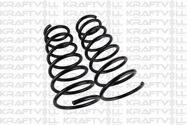 Suspension Spring (15020330)