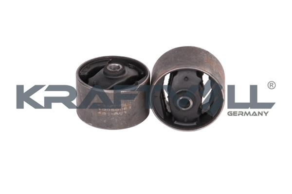 Mounting, control/trailing arm (10050081)