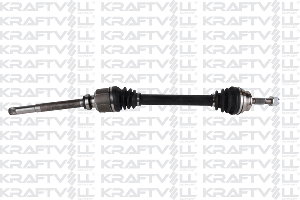 Drive Shaft (01010331)