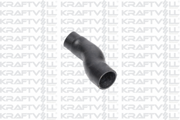Charge Air Hose (10031569)