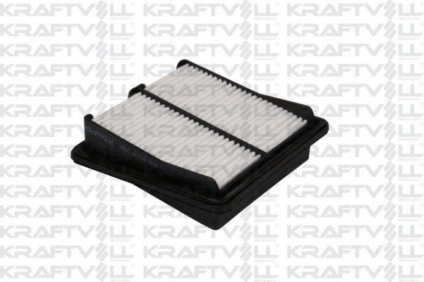 Air Filter (06010142)