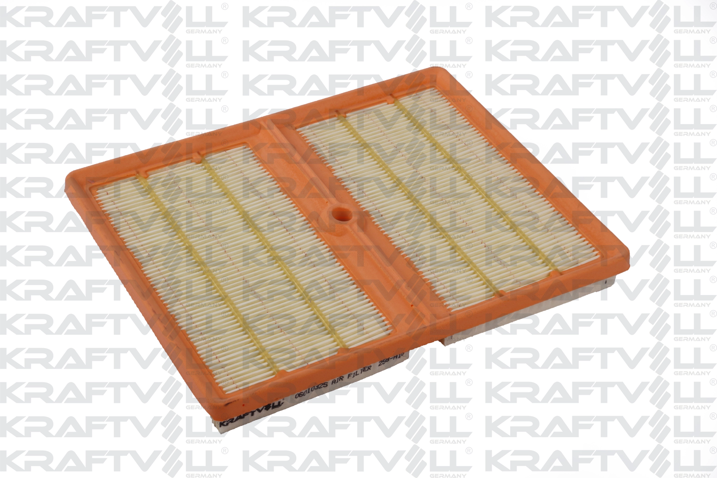 Air Filter (06010325)