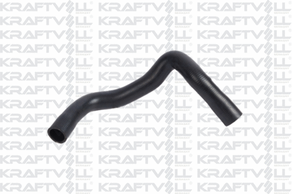Radiator Hose (10031592)