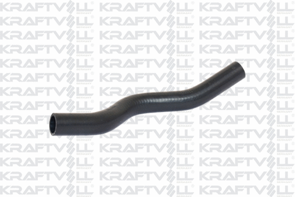 Radiator Hose (10031536)