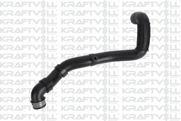 Radiator Hose (10032212)