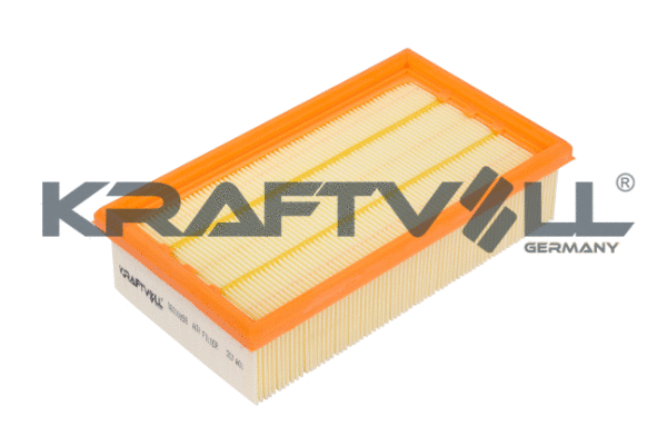Air Filter (06010059)