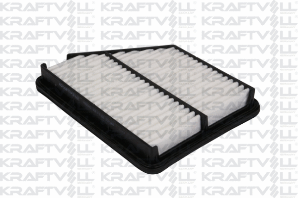Air Filter (06010145)