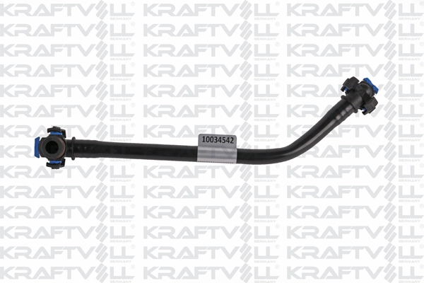 Radiator Hose (10034542)