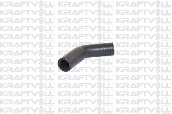 Radiator Hose (10031248)