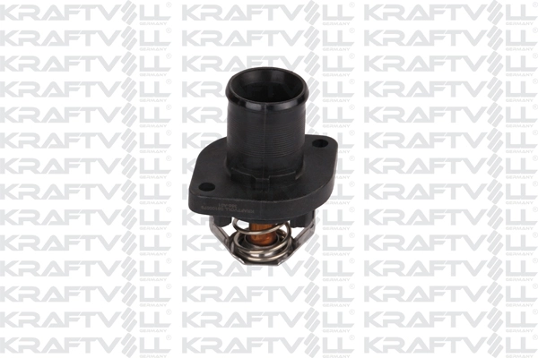Thermostat, coolant (08100079)