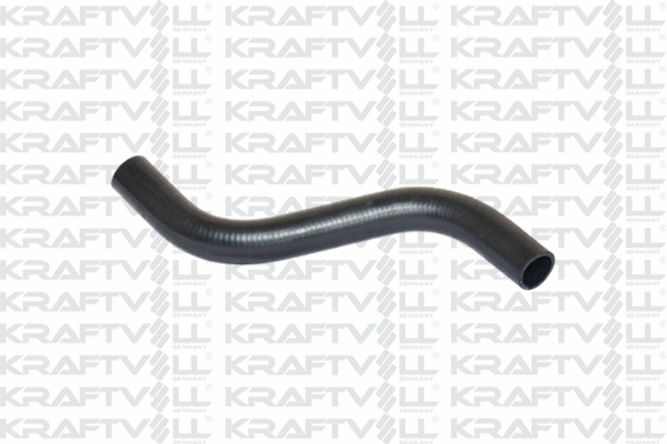 Radiator Hose (10031239)