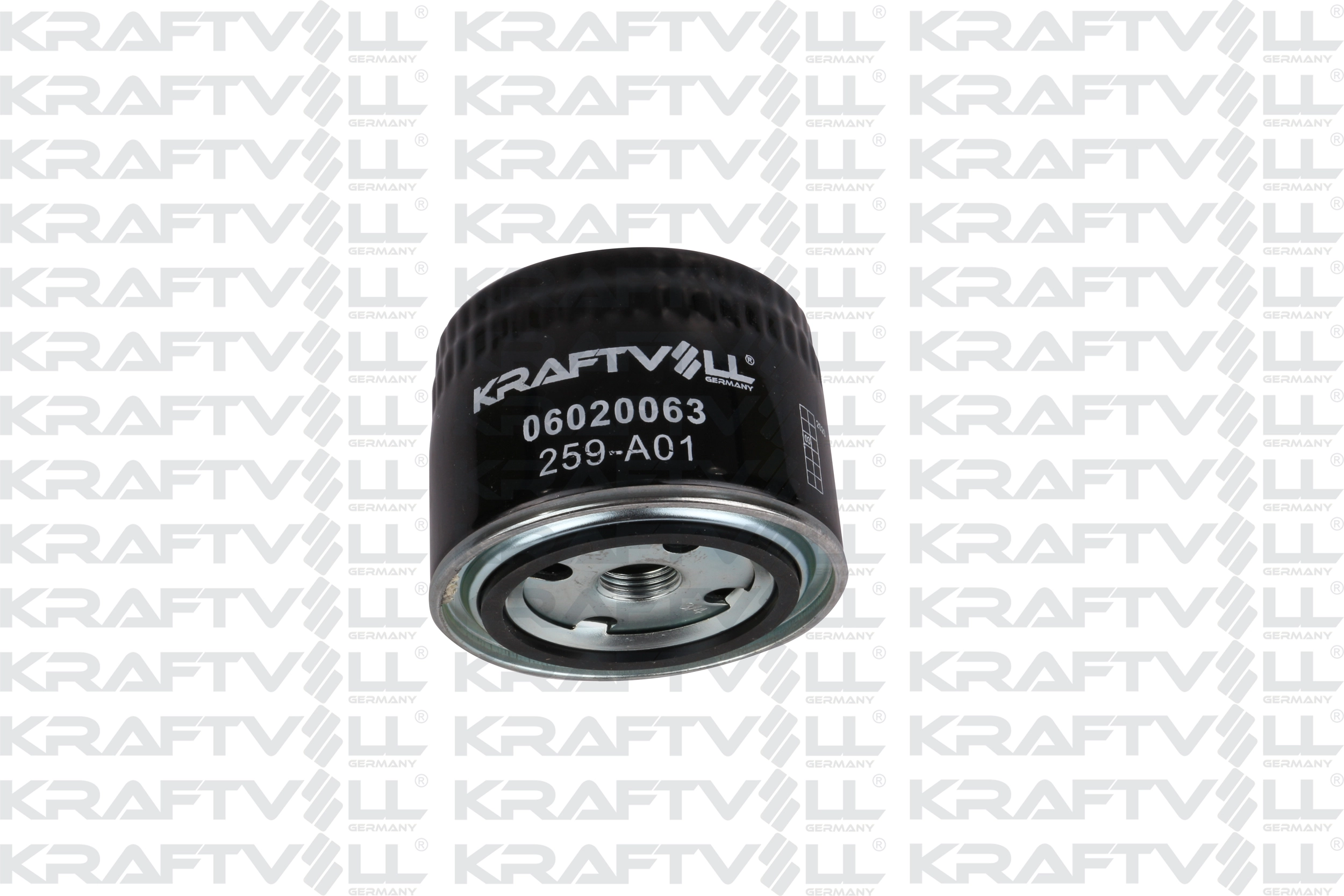 Oil Filter (06020063)