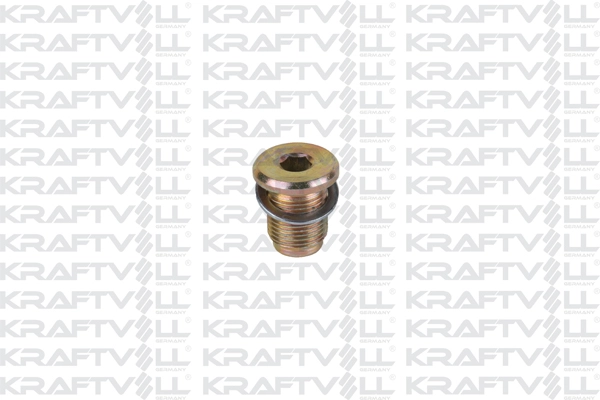 Screw Plug, oil sump (21030471)