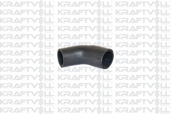 Radiator Hose (10031919)