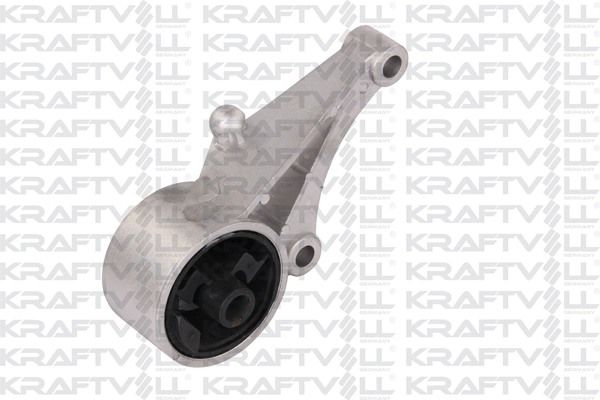 Bellow, drive shaft (10020261)