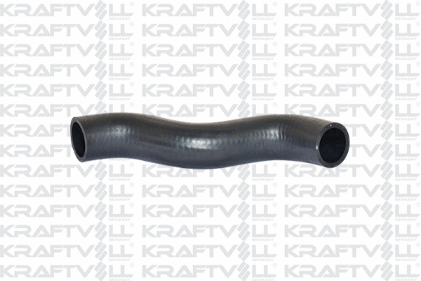Radiator Hose (10032862)