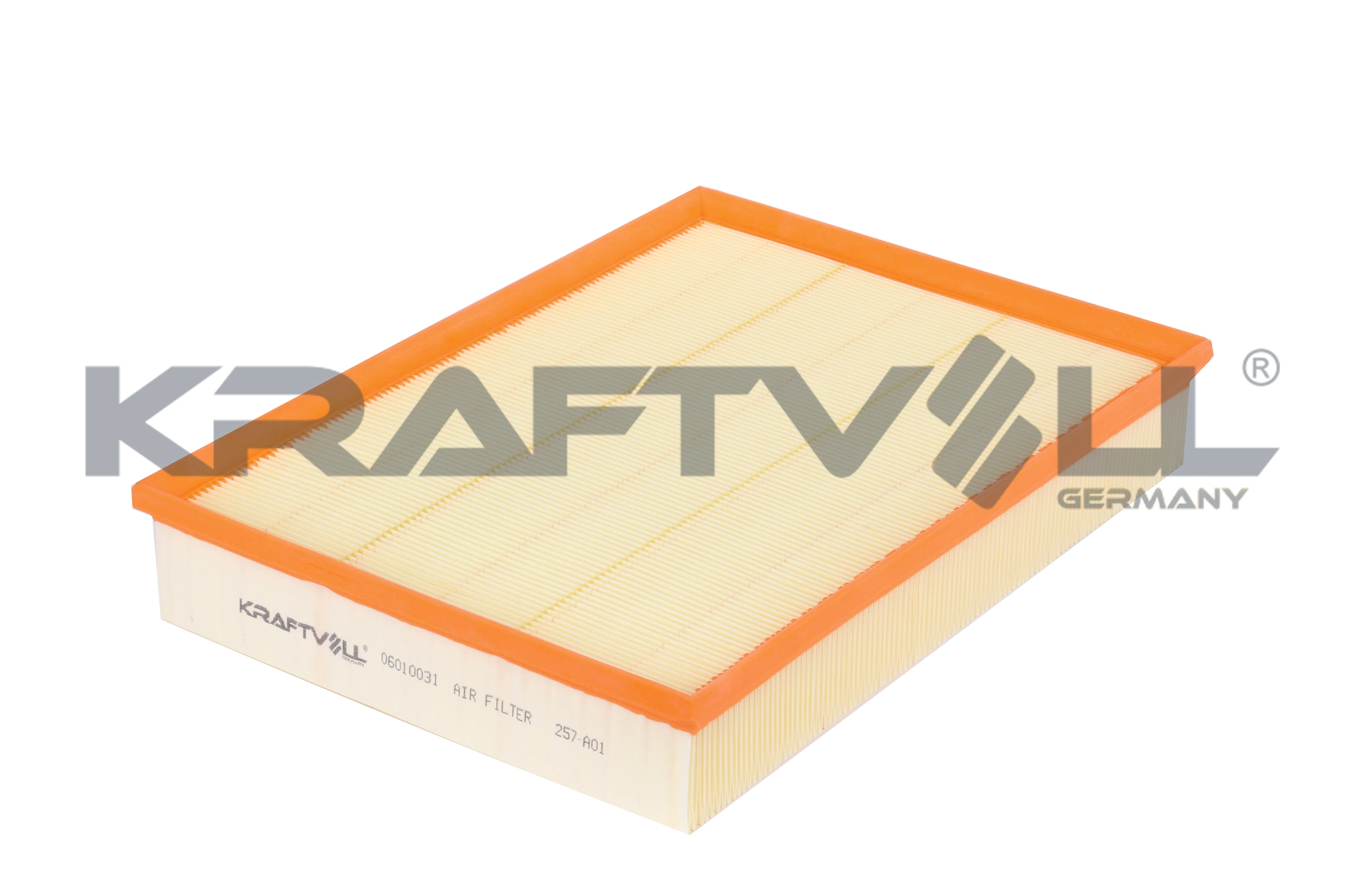 Air Filter (06010031)