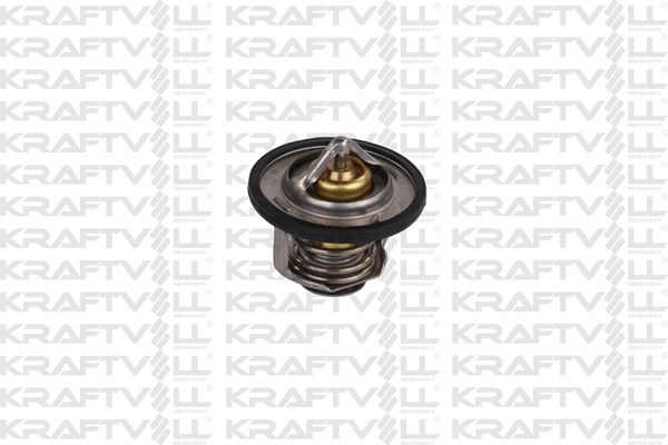 Thermostat, coolant (08100047)