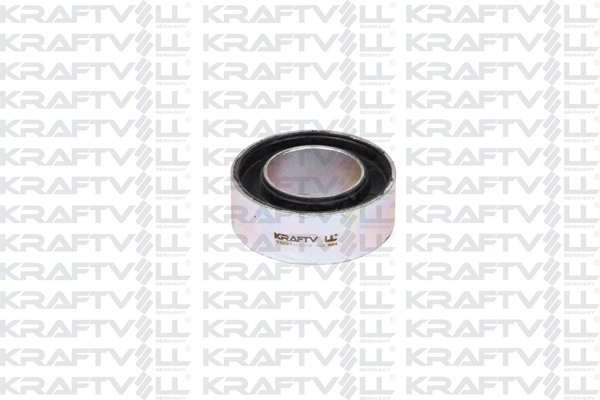 Bushing, axle beam (10010929)