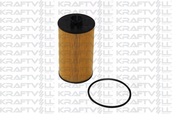 Oil Filter (06070009)