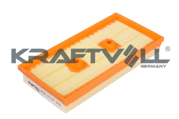 Air Filter (06010057)