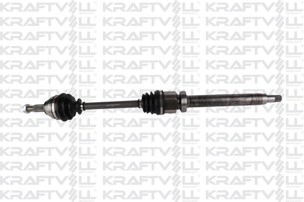 Drive Shaft (01010265)