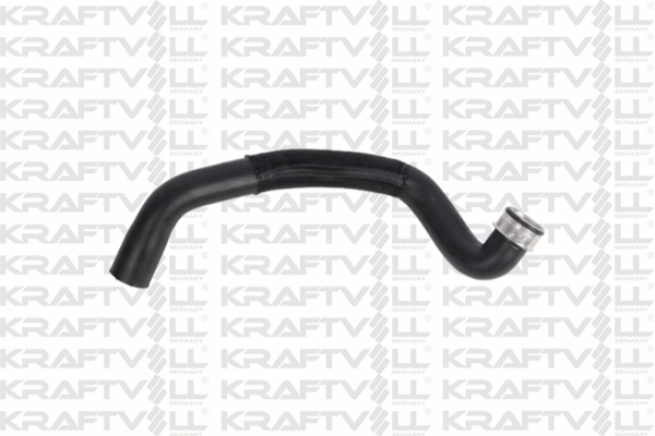 Radiator Hose (10033008)