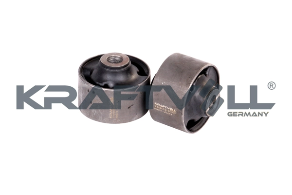 Mounting, control/trailing arm (10050009)