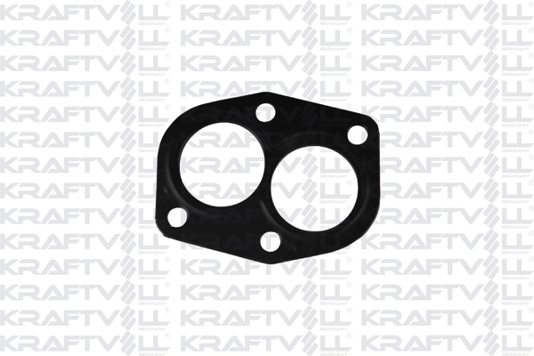 Gasket, exhaust pipe (12010166)