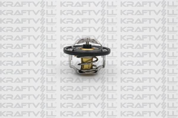Thermostat, coolant (08110087)