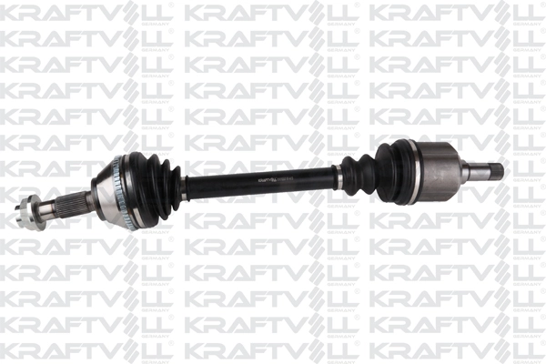 Drive Shaft (01010357)