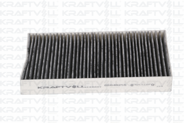 Filter, cabin air (06040256)